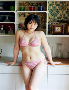 霍元甲电视剧